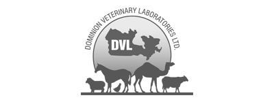 logo-animal-dvl