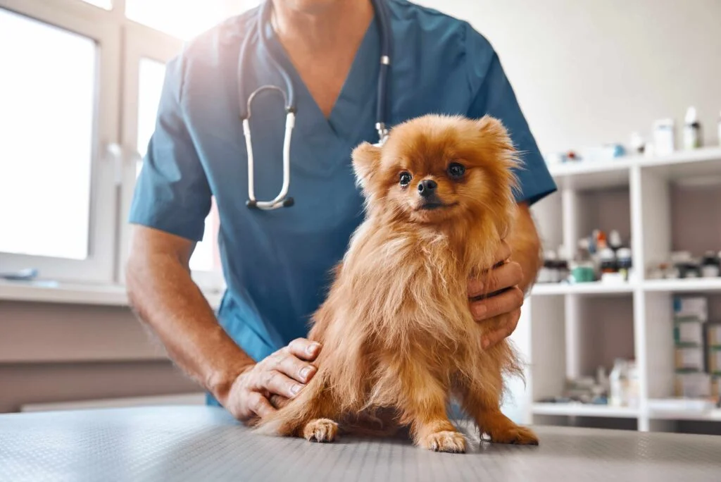 Veterinary